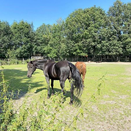 Pipowagen Het Oventje Villa Zeeland Eksteriør bilde